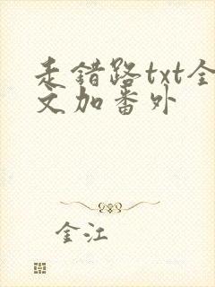 走错路txt全文加番外