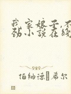 我家娘子,不对劲小说在线阅读