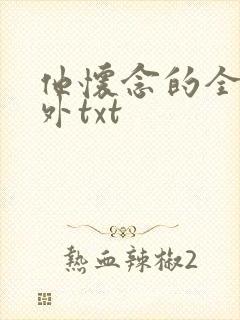 他怀念的全文番外txt