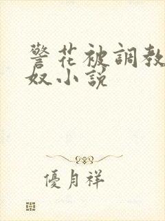 警花被调教成女奴小说