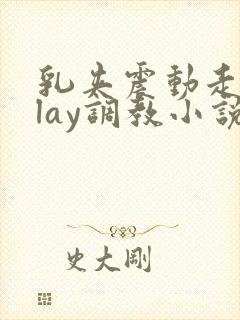 乳夹震动走绳play调教小说