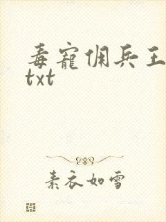 毒宠佣兵王妃 txt