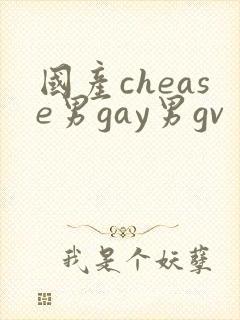 国产chease男gay男gv