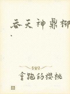 吞天神鼎柳无邪.