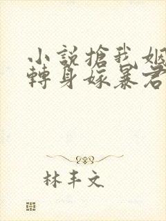 小说抢我姻缘?转身嫁暴君夺后位阅读封面