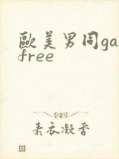 欧美男同gayfree