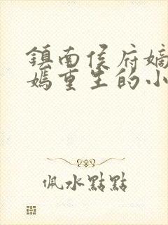 镇南侯府嫡女萧嫣重生的小说