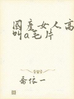 国产女人高潮大叫a毛片