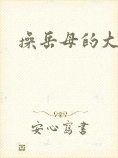 操岳母的大逼