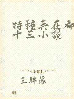 特种兵在都市夜十三小说封面