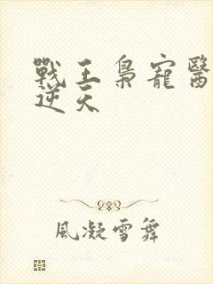 战王枭宠医妃药逆天