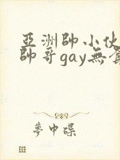 亚洲帅小伙激情帅哥gay无套
