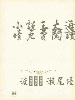 小说王大海与芷晴免费阅读