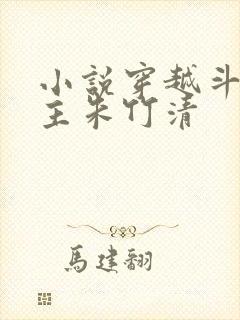 小说穿越斗罗女主朱竹清