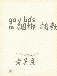 gay bdsm 捆绑 调教 男奴