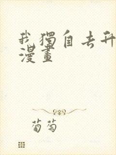 我独自去升级 漫画封面