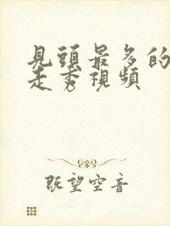 见头最多的维密走秀视频