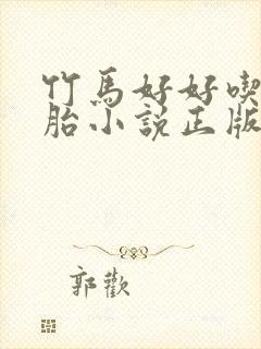 竹马好好吃双胞胎小说正版阅读封面