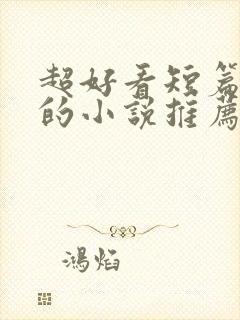 超好看短篇言情的小说推荐封面