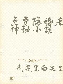 免费隐婚老公太神秘小说