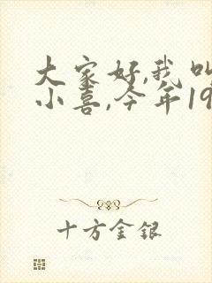 大家好,我叫林小喜,今年19岁小说