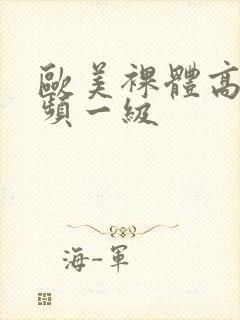 欧美裸体高清视频一级