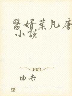 医婿叶凡唐若雪 小说封面