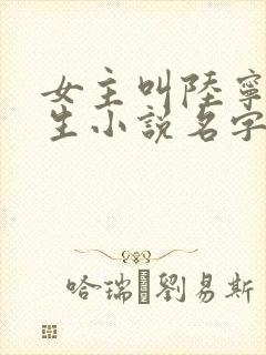 女主叫陆宁的重生小说名字