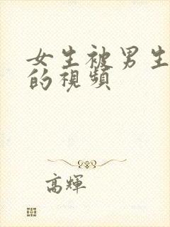 女生被男生操死的视频