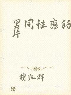 男同性恋的黄色片