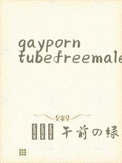 gayporntubefreemalesexvideo