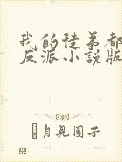 我的徒弟都是大反派小说版