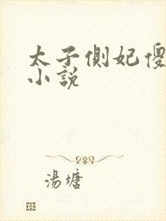 太子侧妃傻乎乎小说