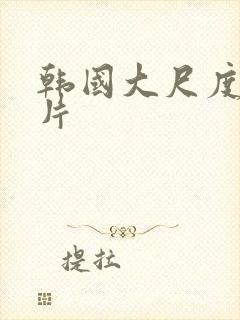 韩国大尺度激情片封面