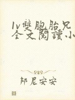 1v双胞胎兄弟全文阅读小说