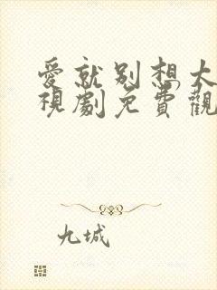 爱就别想太多电视剧免费观看全集封面