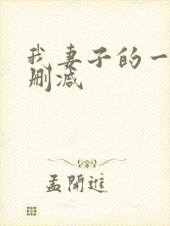 我妻子的一切无删减