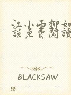 江小雨柳如烟小说免费阅读最新章节