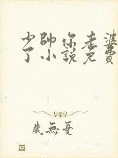 少帅你老婆又跑了小说免费阅读无弹窗