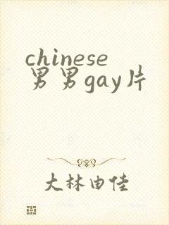 chinese男男gay片