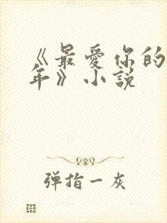 《最爱你的那十年》小说