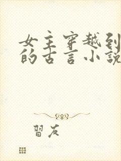 女主穿越到宋朝的古言小说封面