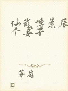 仙武传叶辰有几个妻子