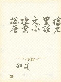 总攻文里抢主角唐棠小说免费阅读无弹窗