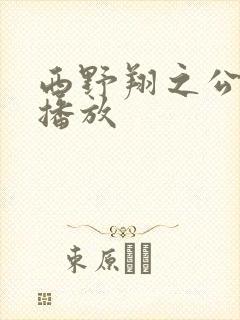 西野翔之公在线播放