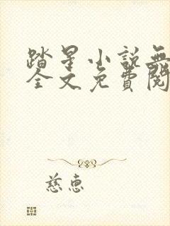 踏星小说无弹窗全文免费阅读