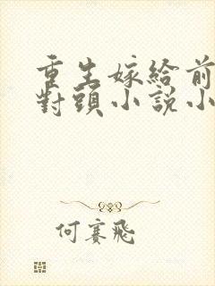 重生嫁给前夫死对头小说小说