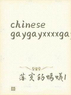 chinesegaygayxxxxgaygay