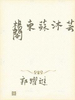 杨东苏沐芸笔趣阁封面