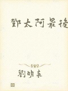 邓太阿最后结局封面